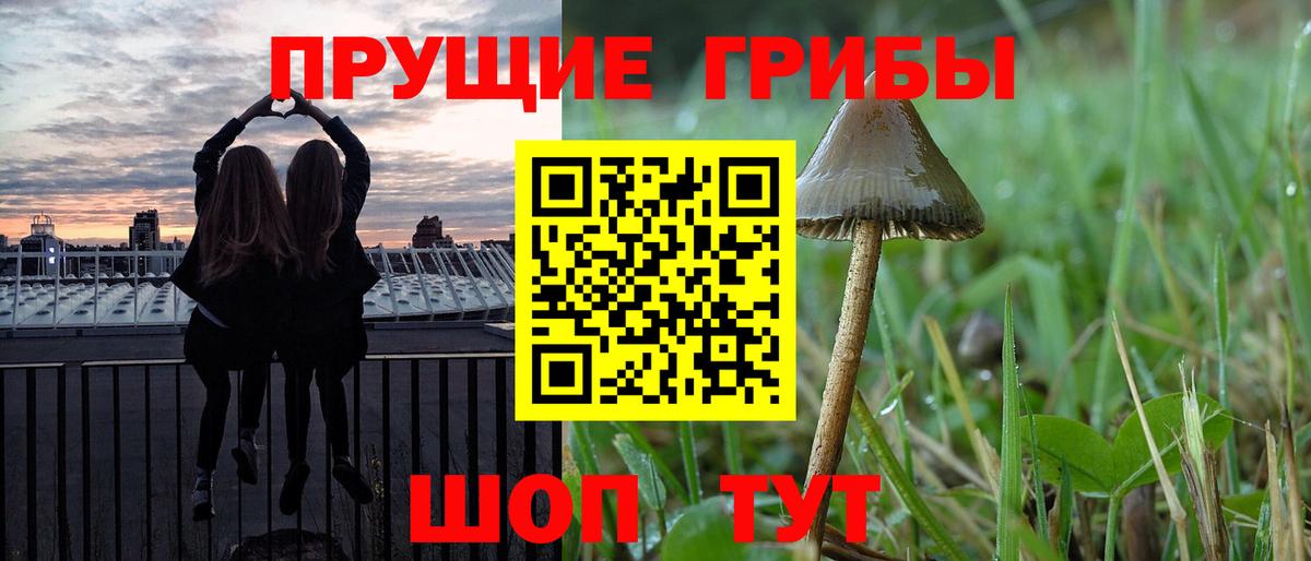 Михайловка  Псилоцибиновые грибы Magic Shrooms  Вход с VPN 
