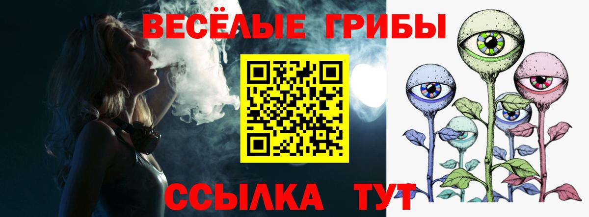 Галлюциногенные грибы Cubensis Михайловка
